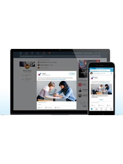 Gestión de Campaña en LinkedIn Ads